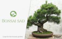 Bonsai sad