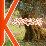     Spring