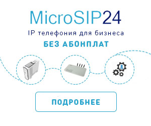 MicroSIP24