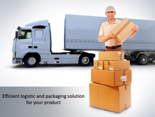 Development&Optimization of Logistic Solution 