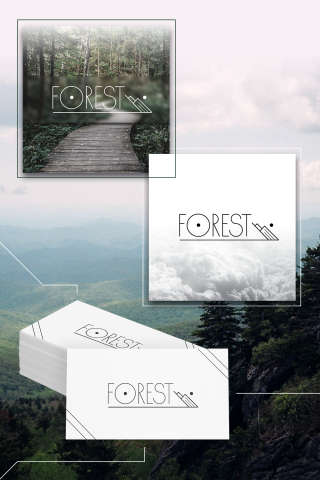 FOREST -   -