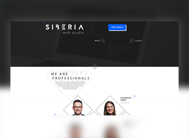 Siberia Web Design Studio