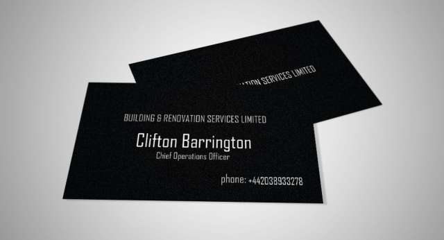 BUILDING & RENOVATION SERVICES LIMITED