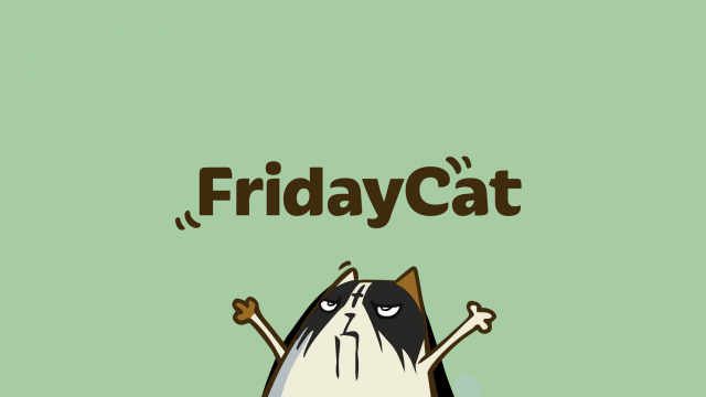 Friday Cat