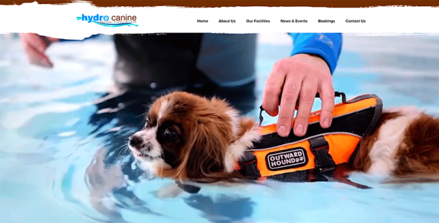  Hydro Canine