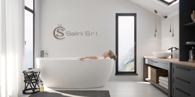 BATHROOM PROJECT FOR THE COMPETITION SALINI S.R.L.
