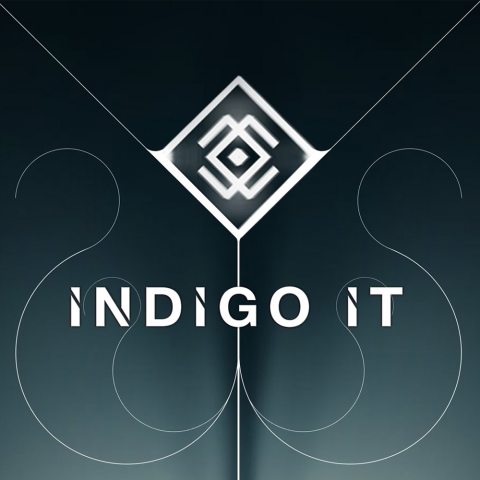 Indigo IT