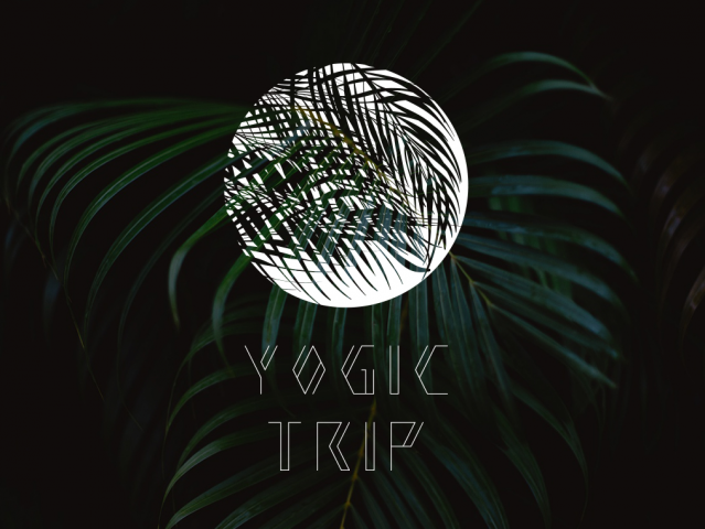 Yogic Trip 2