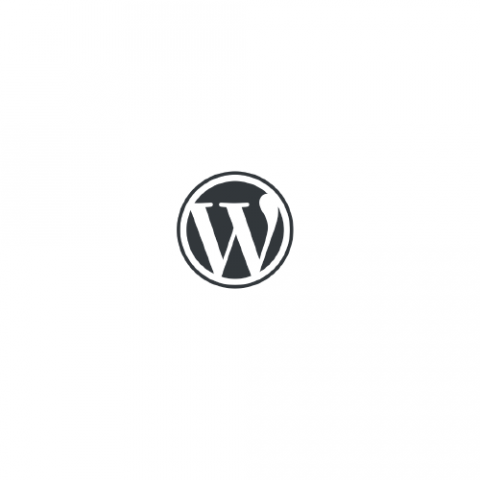 Wordpress услуги и сервис