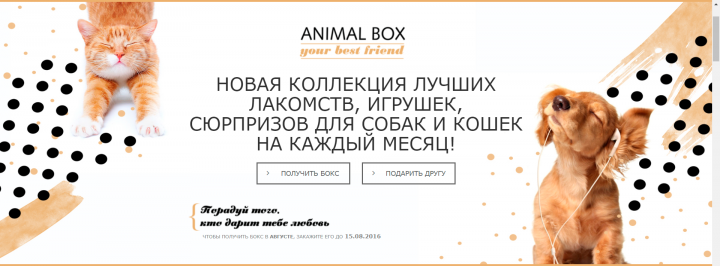  Animal-Box