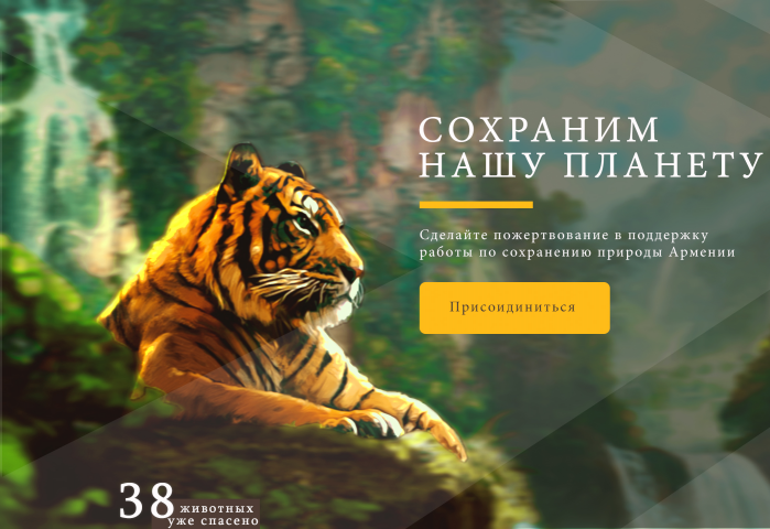 UX/UI website tigerweb design