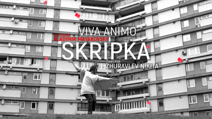 SKRIPKA