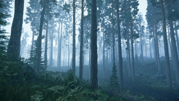Forest -   CryEngine
