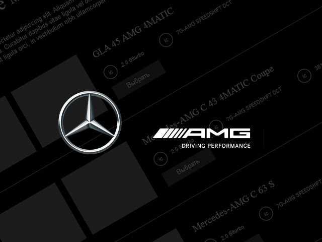 AMG Driving Experience