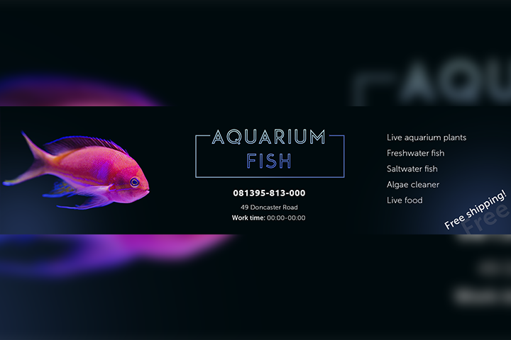     Aquarium Fish