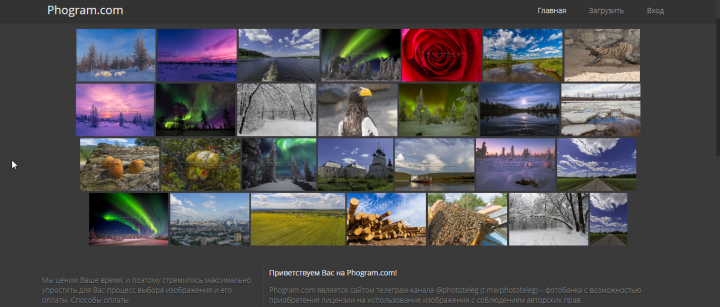 Phogram.com - telegram-бот