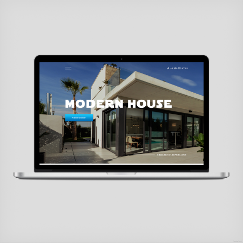 Modern home 