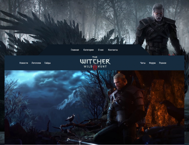   The Witcher