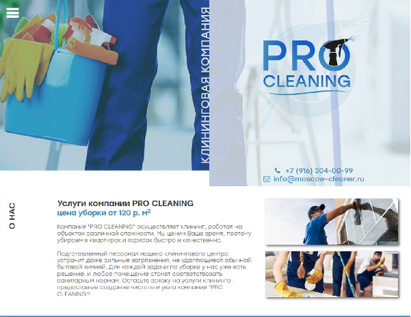    Pro Cleaning