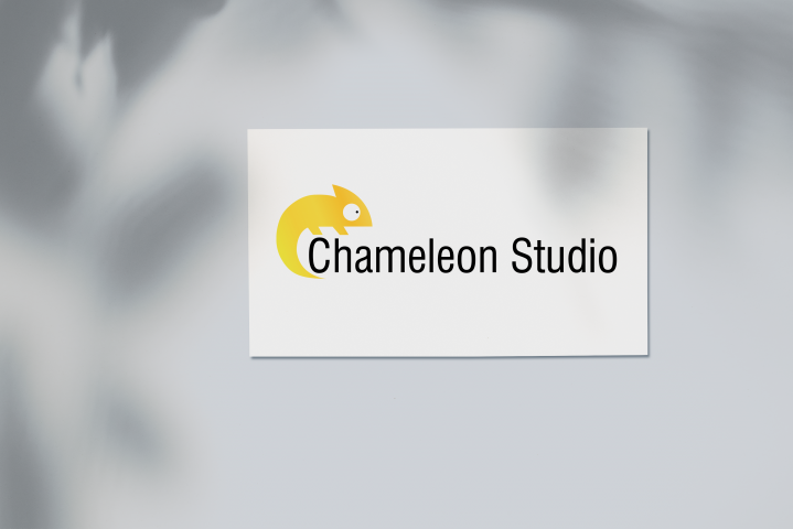 Chameleon Studio