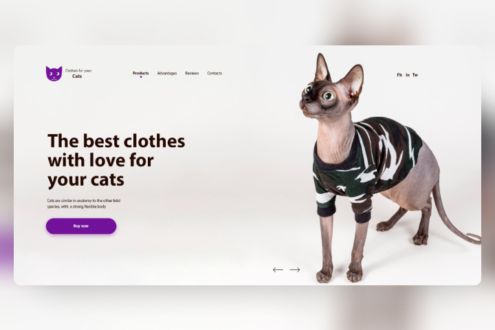 Clothes for your cats