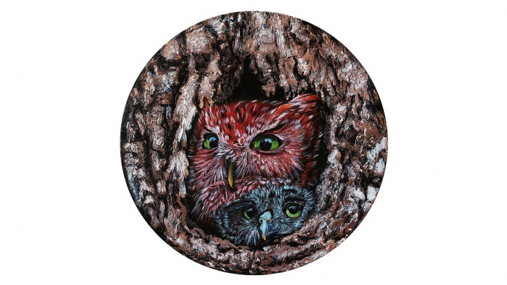 Horned owls in a tree hollow