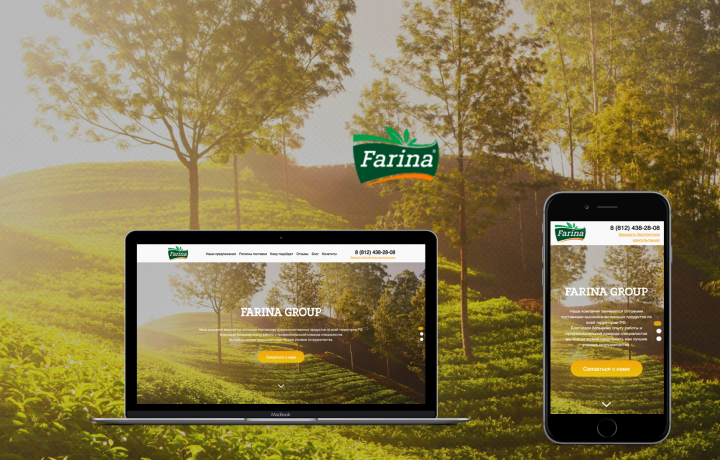 Сайт FARINA GROUP