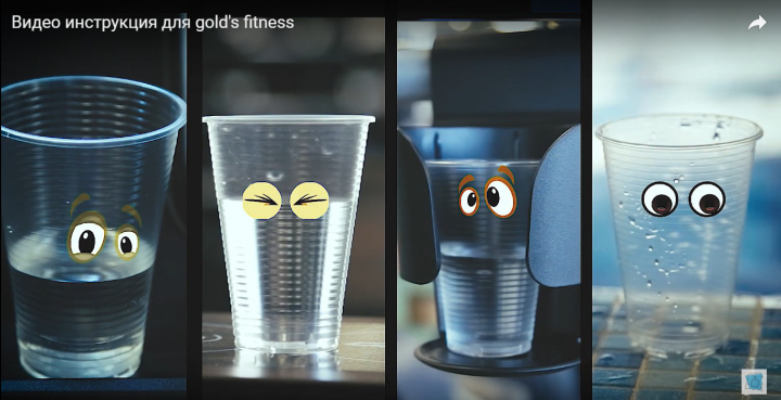    gold's fitness