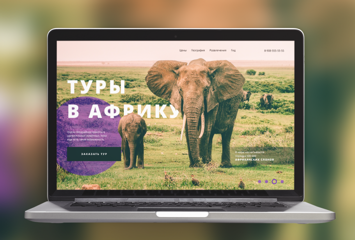 Туры в Африку