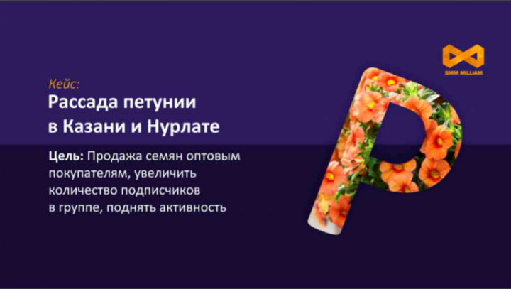 Кейс: запуск рекламы на группу по продаже рассады петунии