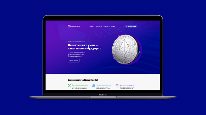 LANDING PAGE  Waldemar Capital 