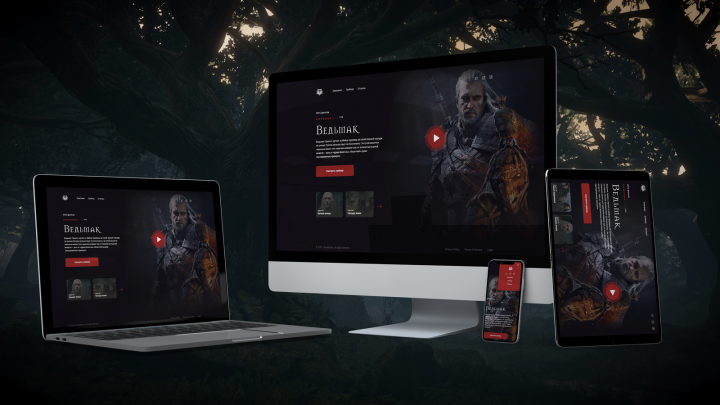 The Witcher