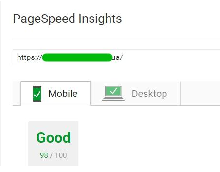  Page Speed 