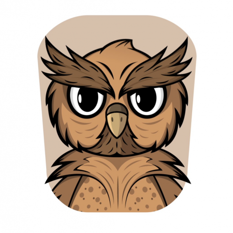 Mascot Owl Animation