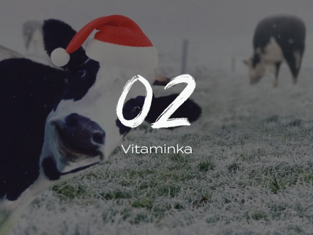 02 - Vitaminka