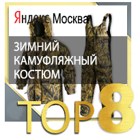     8 Yandex 