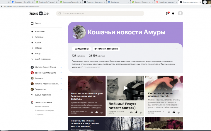 Странички жизни дзен навигация по каналу