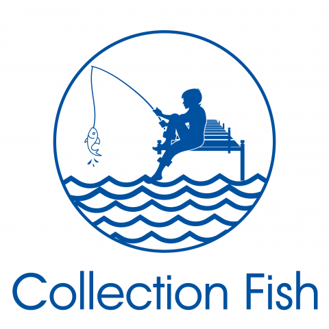 Collection Fish