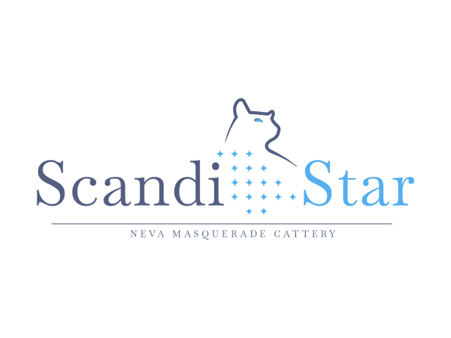 Scandistar