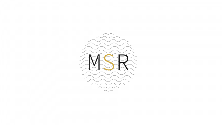  MSR (Mediterranean shipping register)