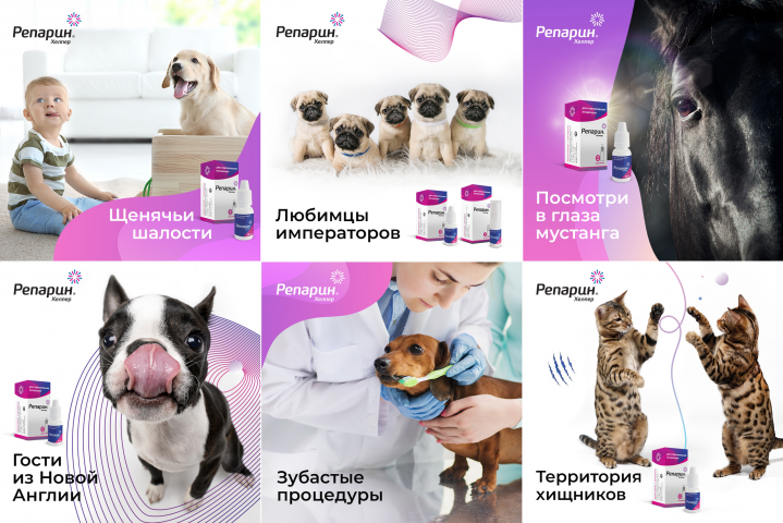 Продвижение ветеринарного препарата