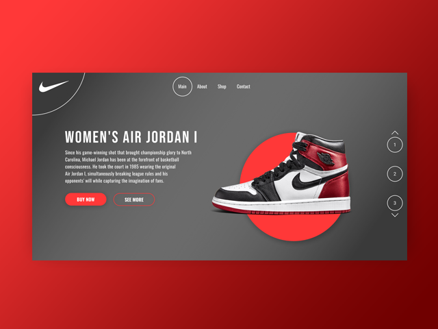 Nike Air Jordan