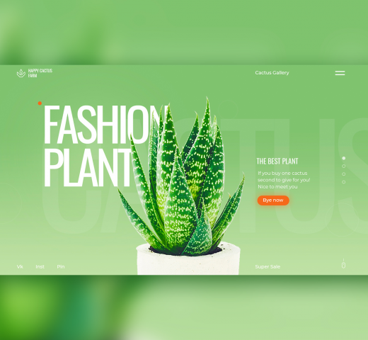 Fashion Plant