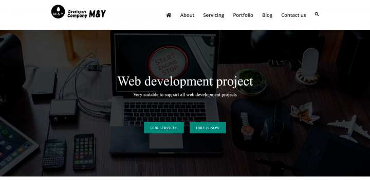Web development project