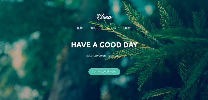 Landing Page Elena