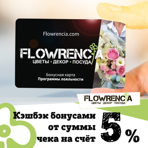    SMM    - Flowrencia