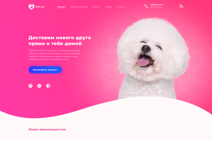 Online Pet Store