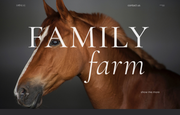 Landing page. Horse farm. UI\UX design. Figma.