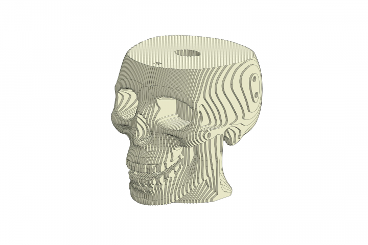 Разработка 3D-модели черепа