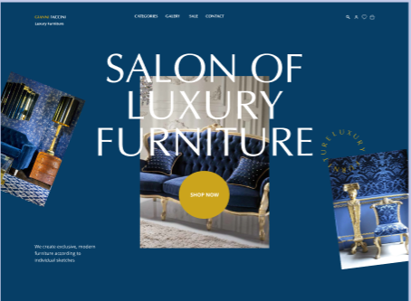  Salon of luxury furniture